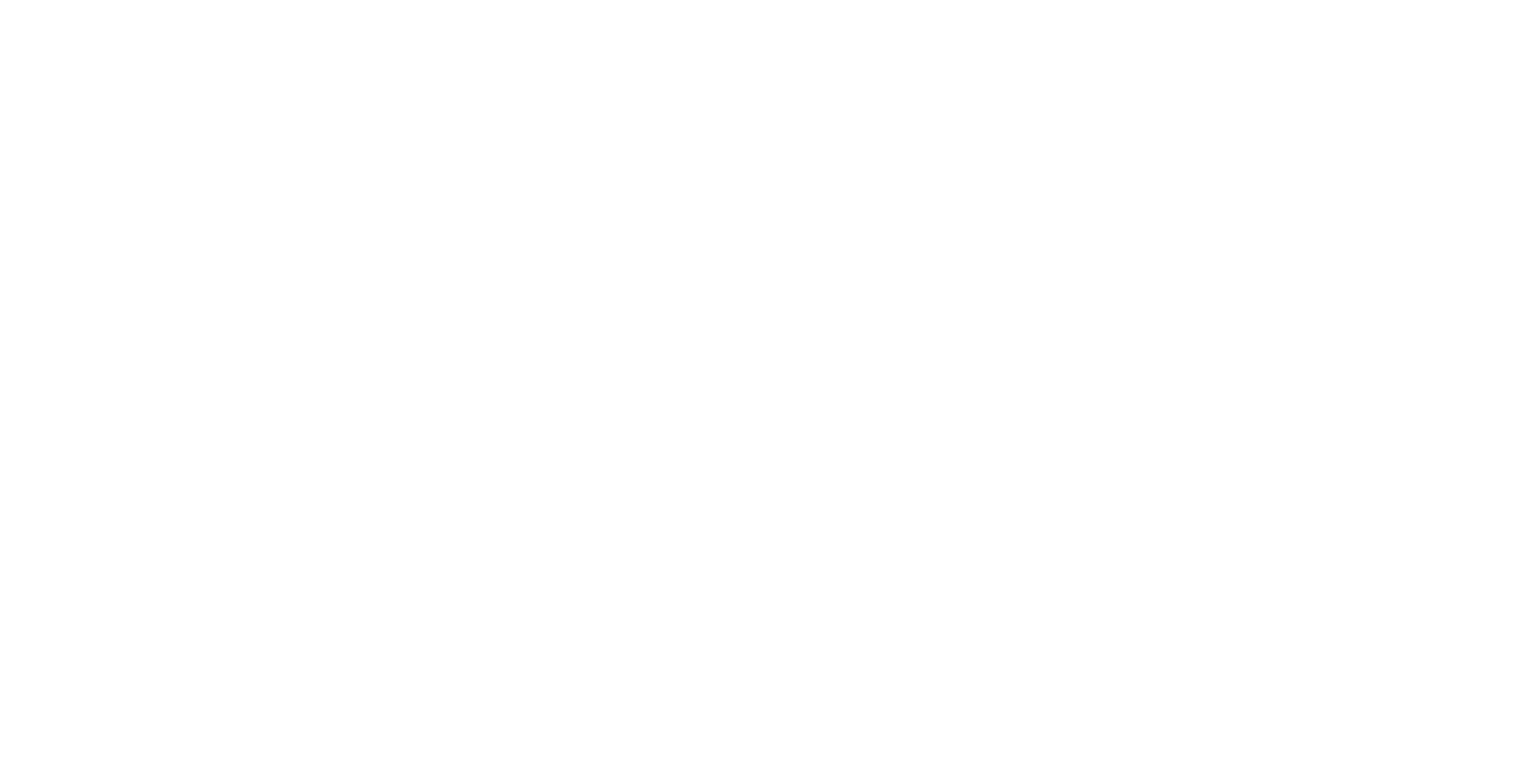 Bandit Logo WHITE