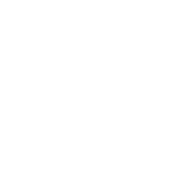 PRINOTH 1 Prinoth Models