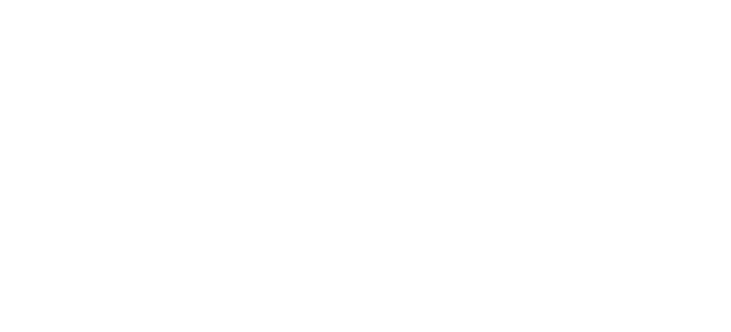 Develon logo white