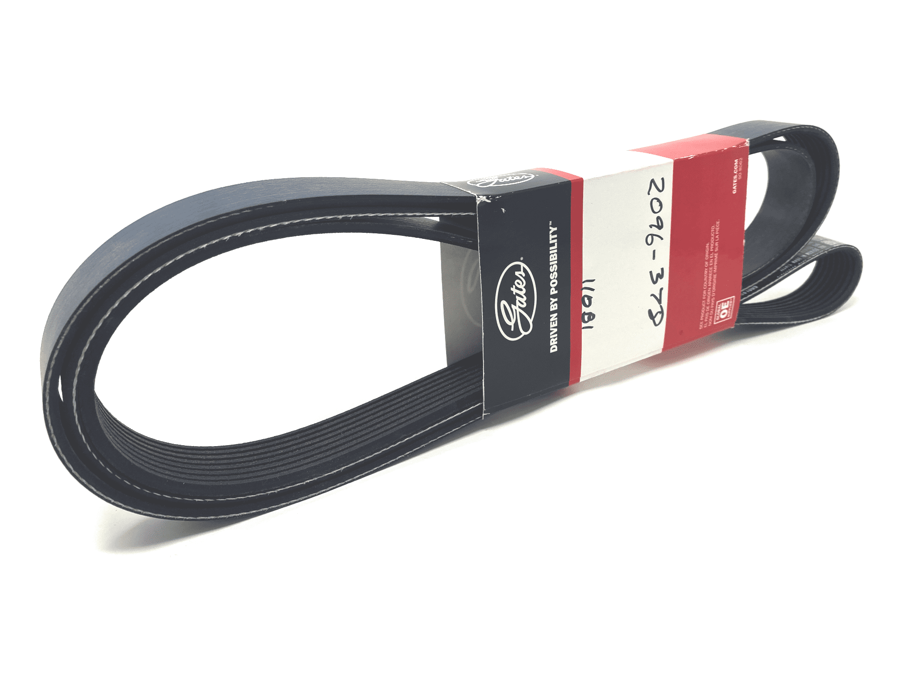 Serpentine Belt